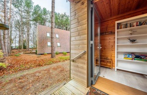 Woodpecker - Photo 6