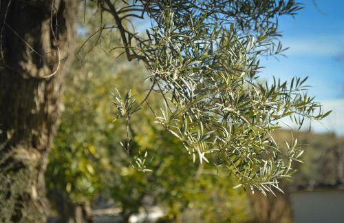 Tropical Studio - Foto 45