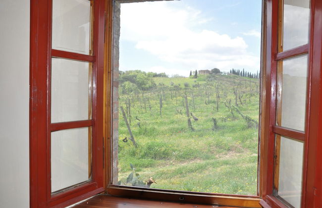 Castello di Selvole-Adults Only - Foto 15