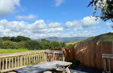 Glyndwr Way Cabin - Photo 14