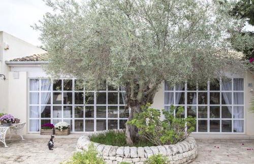 Agriturismo Masseria Cianciò - Foto 33