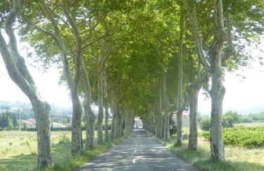 Apartment The Address - Photo 28