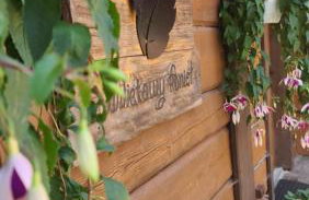 Miętowy Anioł - Foto 6