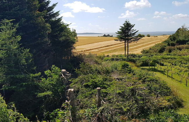 Panoramic Retreat With Spa - Foto 31