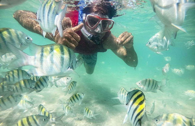 Morro de São Paulo Diving Introuction - Photo 2