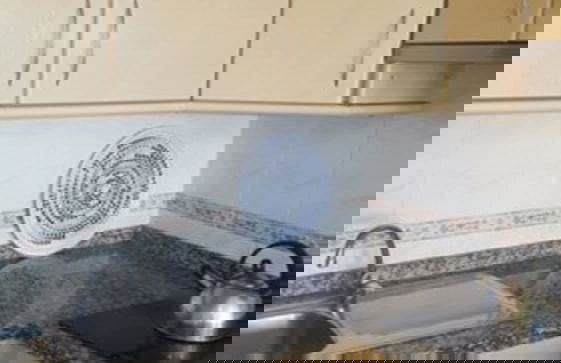 El Capistrano Sur - Foto 25