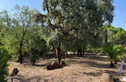 Villa Amigo, Casa Rural espectacular en Sierra de Aracena - Foto 13