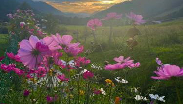 Gemütliche Ferienwohnung Bergwiese, 2-Raum, separates Schlafzimmer, schönen Balkon oder Terrasse, Komfort Ausstattung, ruhige Südlage, kostenfrei WLAN und schöne helle Sauna, Brötchenservice, Parkplatz, Hunde auf Anfrage, E-Tankstelle, Sonnenlage - Photo 3