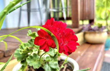 Couples Cottage - Serene Getaway - Foto 61