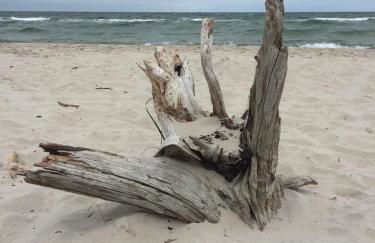 Ferienwohnung Düne mit Kamin und 2 Bädern in Boltenhagen - Foto 56