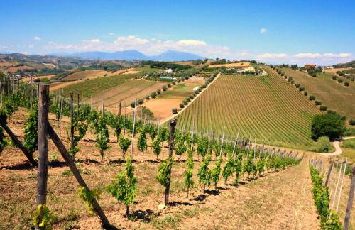 Terra di Ea - Foto 66