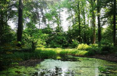 Gästehaus Maria Rast - Foto 66