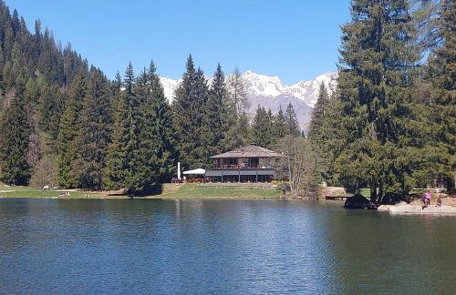 Casa Roby - Marilleva 1400 in Val di Sole - Photo 13