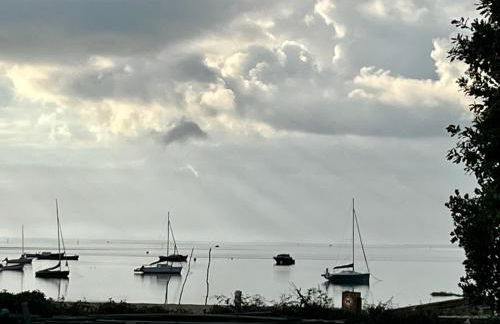 Flou de Pin - Foto 28