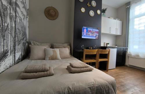 LeRelaisdOdile - Suite Studios Confort - Idéal PRO & Couple - LILLE VAUBAN - Foto 36