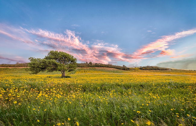Tenuta Petra Bianca - Foto 26