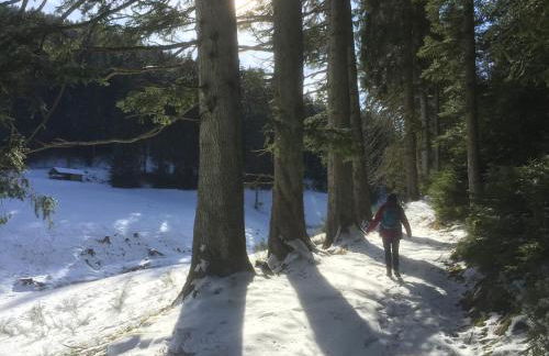 Ferienwohnung Kuckuck auf dem Sommerberg incl Schwarzwald Plus-Karte - 2 Zimmer 50qm - Foto 61