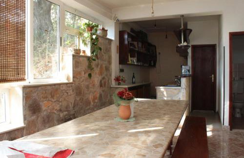 Apartments by the sea Luka - Dugi otok - 441 - Photo 10