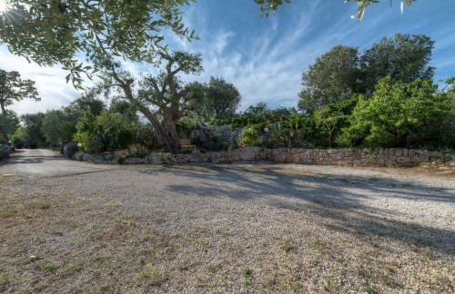 Trullo Paan in Ostuni - Foto 27