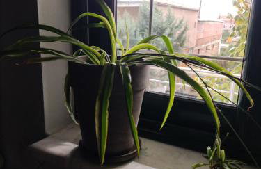 HOME SWEET HOME Διαμέρισμα 50τμ σε ήσυχη περιοχή - Foto 23