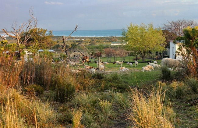 Groeneweide - Foto 60