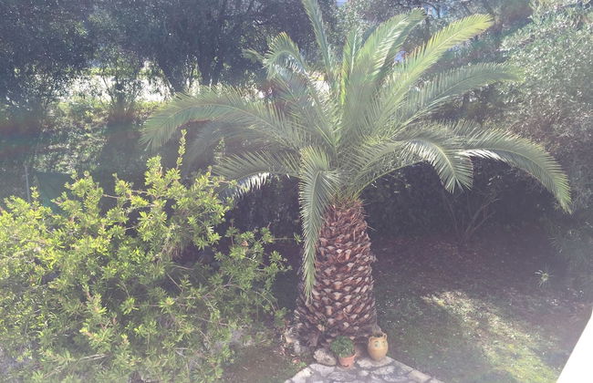 Alexander Apartments - Foto 49