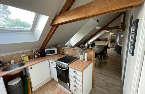 Le Clos des Trois Provinces, Zoo de Beauval - Foto 31