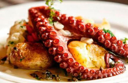 SLEEPBOAT Barco Hotel - Foto 30