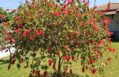 Summer House 150m from the beach for 5 persons. - Foto 6