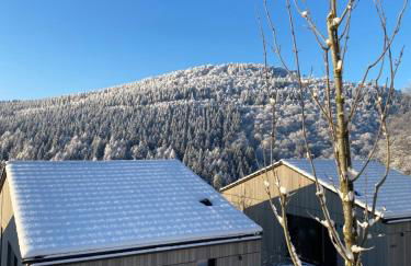 Sauerland Lodge - Haus Maxim - Foto 1