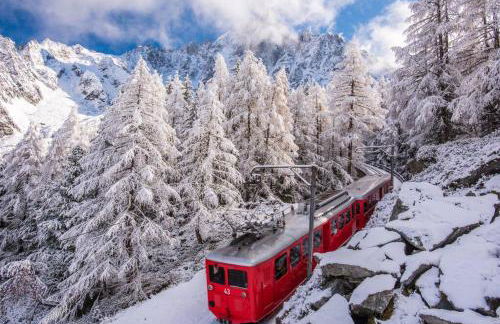 Ancolie - Apartment Free parking close to ski lift - By Cozee Rentals - Foto 14