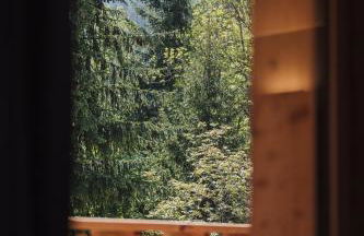 Max Green Forest Apartments - Foto 22