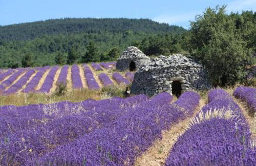 Holiday Home Provence with Pool - Foto 37