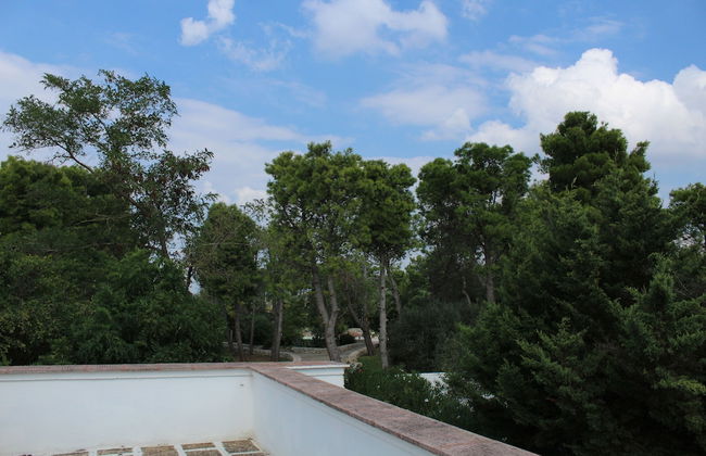 Masseria La Camardia - Foto 76