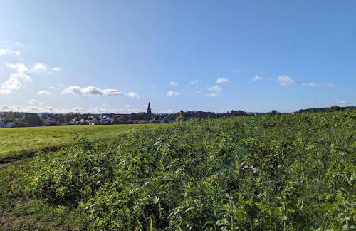 Welcome in Weilerbach - Foto 14