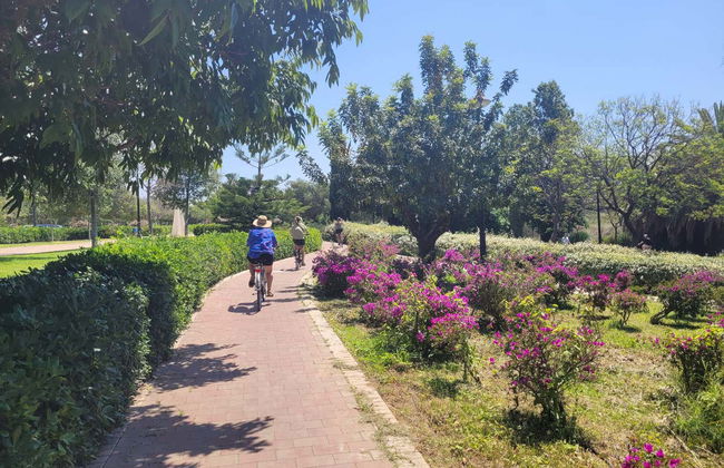 Valencia Free Bike Tour - Photo 4