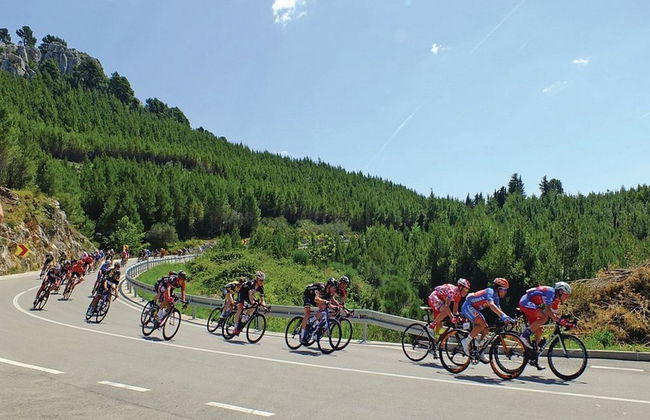 Villa Vinka - Foto 35