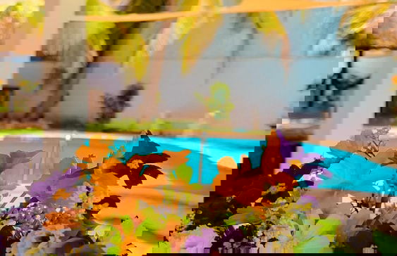 Rancho Los Chatos - Photo 14