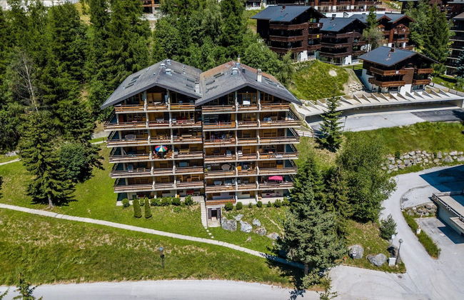 Cozy Apartment in the Centre of Grimentz - Foto 21