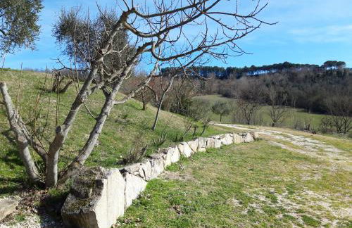 Agriturismo La Mela - Photo 14