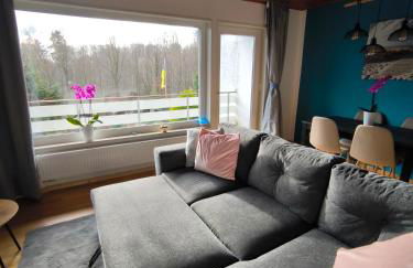 Haus am ruhige Lage in Langscheid Nähe sorpesee - Foto 5