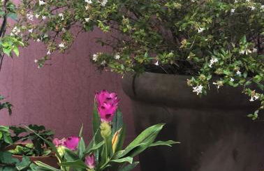 La Posada De Lola - Foto 50