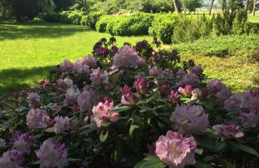 ŻAR - Dworek w Żarnowcu - Foto 42