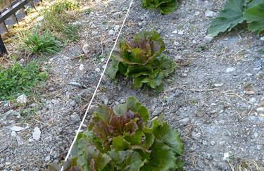 La Locanda dei Cavalieri - Foto 13