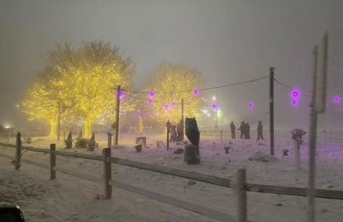 On Top Of Everything at Beech - Foto 44