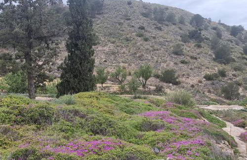 Cortijo de la montaña - Foto 17