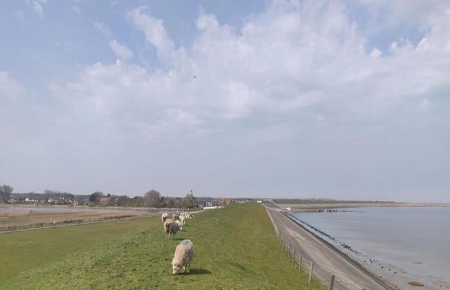 Traditional Villa With two Bathrooms on Texel Near the Sea - Foto 30