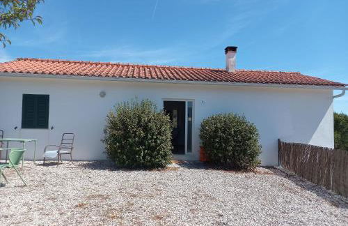 Refugio Abrunheiro Grande - Foto 44