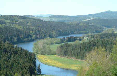 Haus Bergblick Bay. Wald - Foto 12