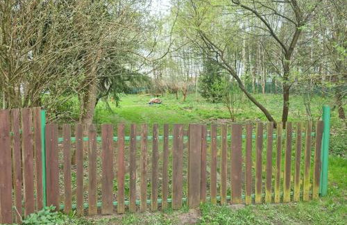 Dom Pod Brzozami Lipinki Bory Tucholskie basen - psy, koty mile widziane! - Photo 36